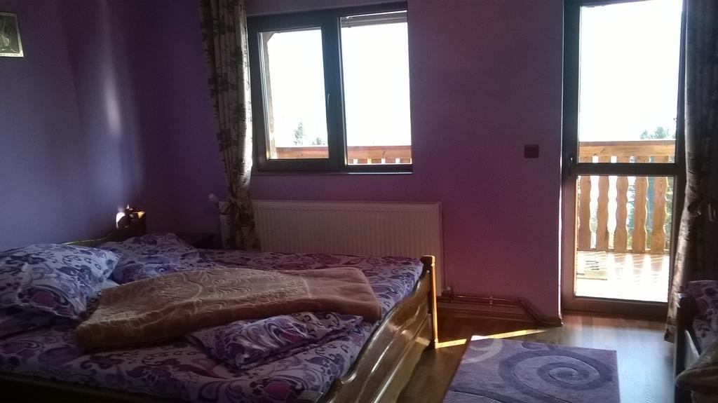 Отель Casa Edy Колибица Экстерьер фото