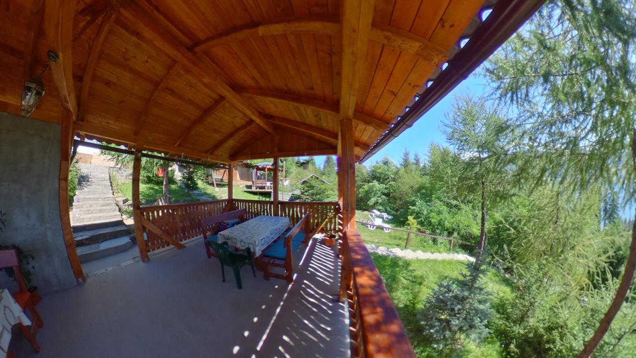 Отель Casa Edy Колибица Экстерьер фото