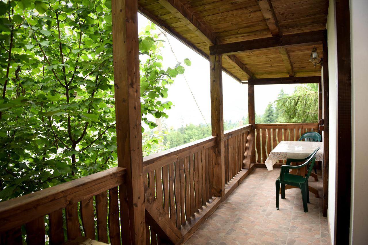 Отель Casa Edy Колибица Экстерьер фото
